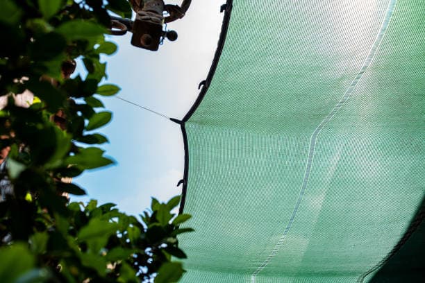 فروش توری برای سایه بان + قیمت خرید به صرفه